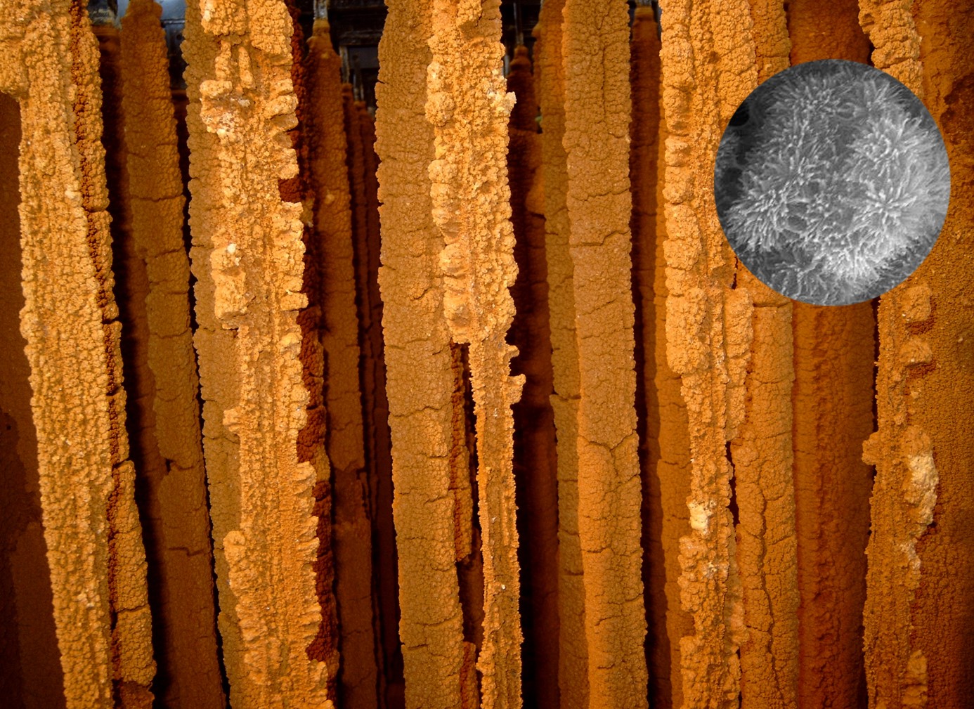 Blick in einen Bioreaktor, in dem eisenoxidierende Bakterien die Bildung von Schwertmannit bewirken. Schwertmannit ist ein Eisen-oxid-hydroxid-sulfat Mineral. Der runde Bildausschnitt zeigt in einer Rasterelektronenmikroskop-Aufnahme eine extreme Vergrößerung des Minerals