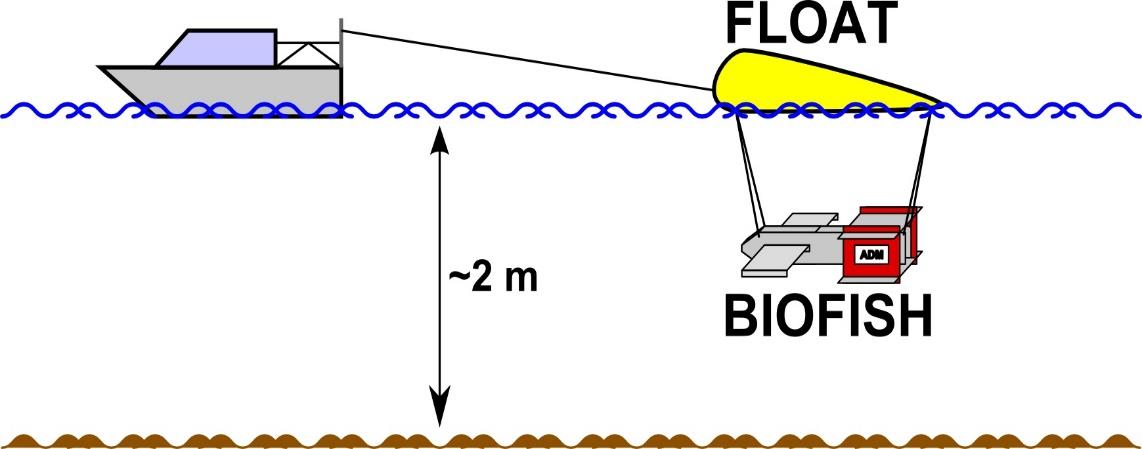 Skizze zur Umsetzung der Implementierung des BIOFISH für flache Wasserkörper am Beispiel der Elbe. Das Gerät ist auch für die dreidimensionale Untersuchung von tiefen Gewässern ausgelegt