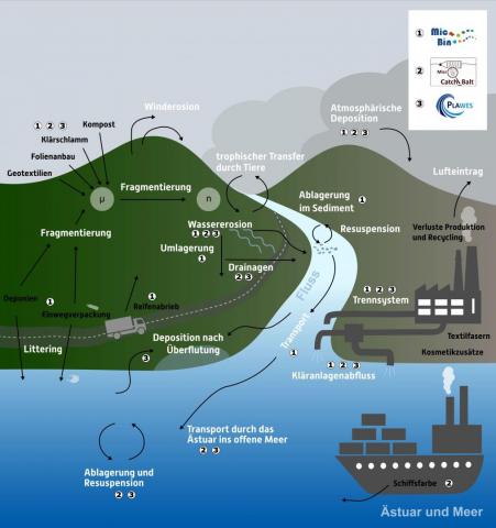 Grafik zu Transportwegen und Eintragspfaden von Mikroplastik