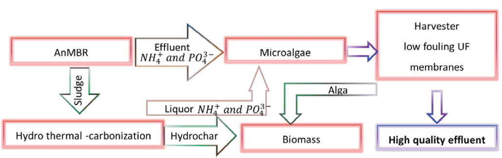 Ein anaerober Membran-Bioreaktor (AnMBRA) wird mit einem Algenreaktor gekoppelt und liefert Nährstoffe. Der entstandene Klärschlamm aus dem AnMBRA wird mittels hydrothermaler Karbonisierung in Hydrokohle umgewandelt und liefert ebenfalls weitere Nährstoffe für die Algenproduktion. Ein ebenfalls entwickeltes Erntesystem (Harvester) konzentriert die Algenbiomasse zur späteren kommerziellen Verwendung auf. Dabei entsteht weiteres wässriges Konzentrat (Effluent) zur Verwertung.