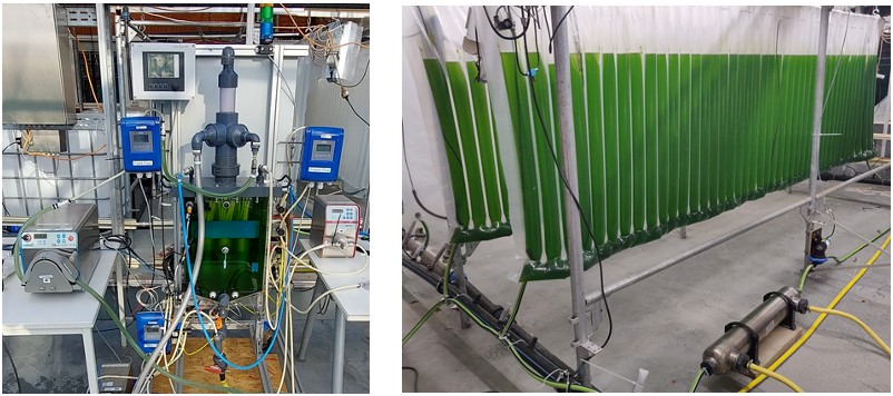 Winter cultivation (1-4 ° C) of an algae bioreactor (JUB) in conjunction with the KIT-Harvester using a heat exchanger to keep the temperature at ≥ 16 ° C (Source: L. Thomsen, C. Posten).
