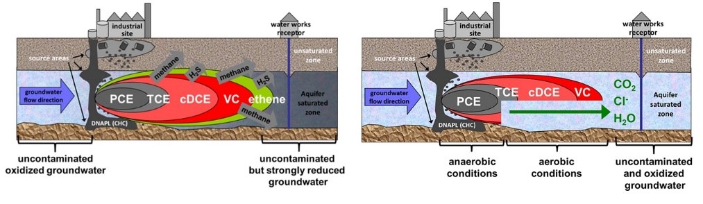 Transformation products and side reactions during anaerobic bioremediation of chloroethenes (left) and mineralization products in case of metabolic aerobic bioremediation (right)