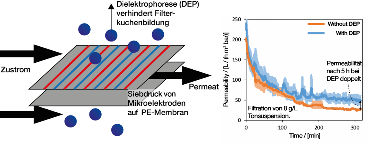 Sketch of membrane filters, microelectrodes are screen-printed onto membrane filters and create a force that keeps particles from depositing on the membrane. Permeability as a function of time decreases less for DEP-functionalized membranes than for non-functionalized ones. After 5 hours of operation, the permeability of DEP modules is twice that of non-functionalized modules.