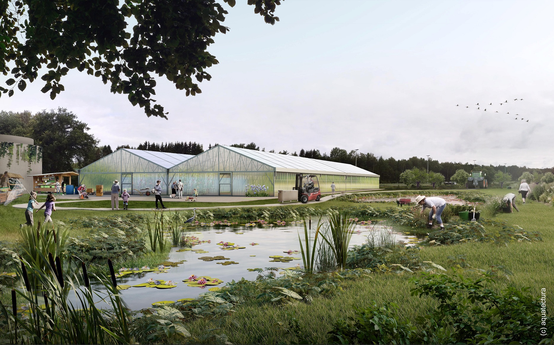 Two foil greenhouses are surrounded with green areas and planted fining ponds; people visiting or working in the farm store can be seen.