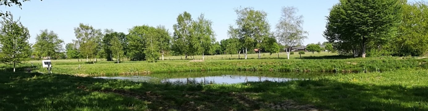 The picture shows the sewage pond plant in Weißenberge