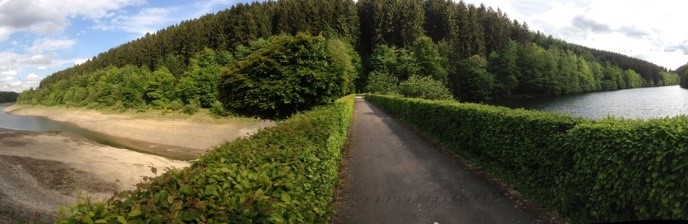 Foto der Bigge-Talsperre inkl. Randbegrünung. Links ein kleiner Flusslauf, rechts der Stausee.