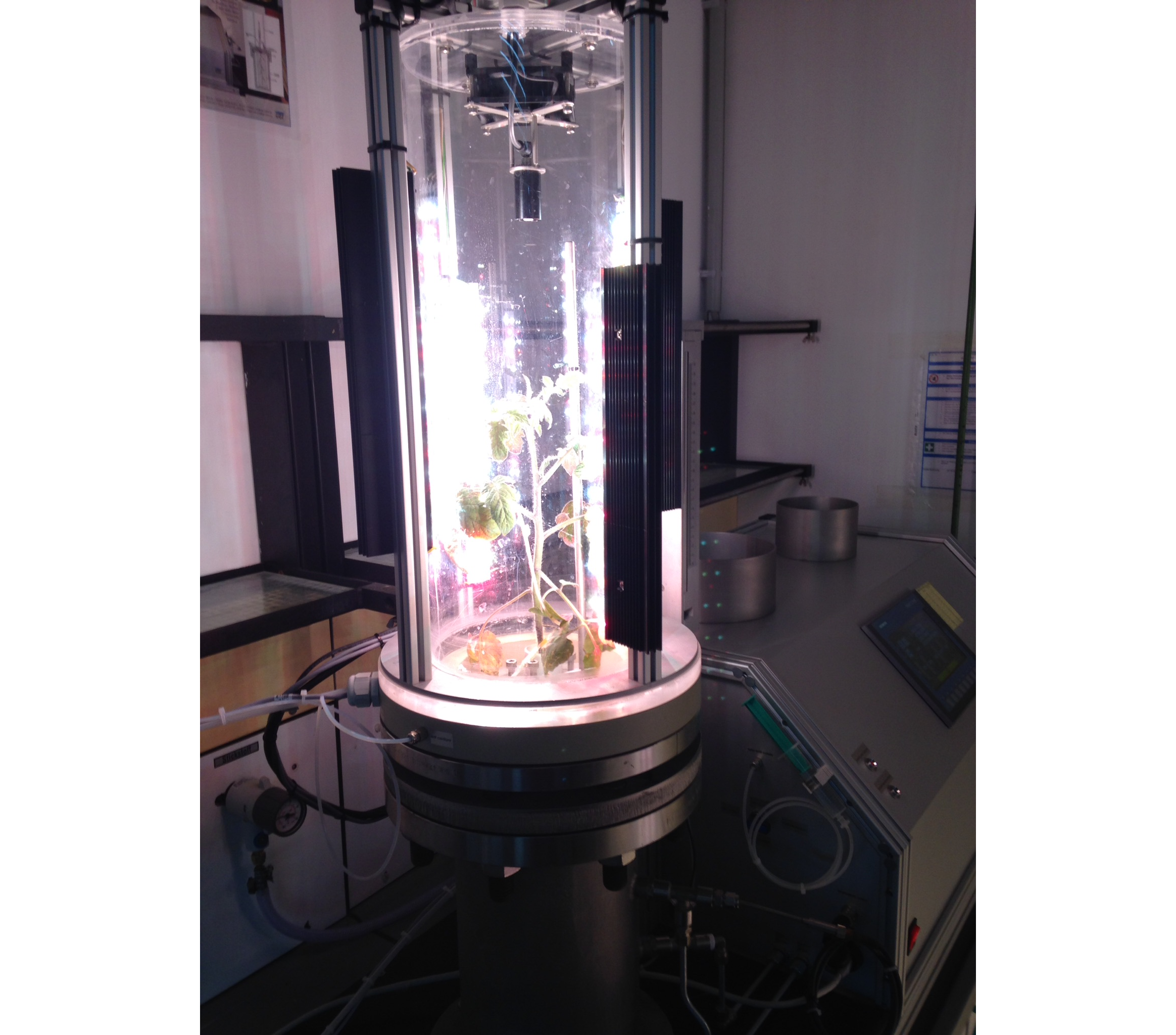 Plant pressure ecotrone to measure the hydraulic limitations to root water uptake. The device used to simultaneously measure transpiration rate and leaf water potential for intact plants growing in soils. Plants can be imposed to varying atmospheric and soil conditions.