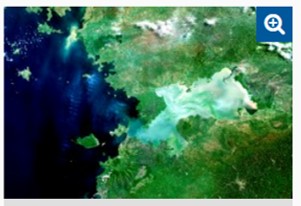 Satellitenbild der Kisumu-Bucht am Victoriasee (Afrika). Immer wieder beeinträchtigen Algenblüten-Teppiche die Wasserqualität.