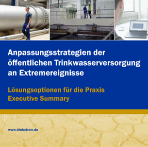 Executive Summary der Handlungsempfehlung